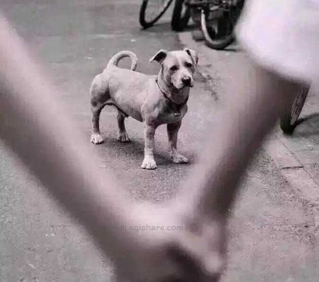 争光了!中国AI大模型全球排名第一 阿里云 人工智能AI 微新闻 第6张 争光了!中国AI大模型全球排名第一 阿里云 人工智能AI 微新闻 第6张